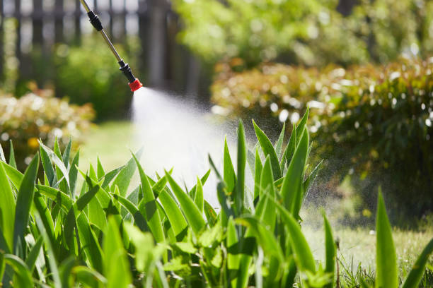 Tamper-Resistant Bait Stations for Rodents in Woodland Hills