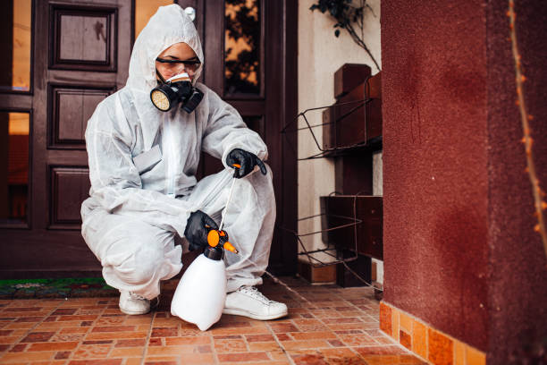 Attic and Crawl Space Rodent Treatment in Woodland Hills