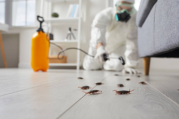 Commercial Rodent Management in Woodland Hills